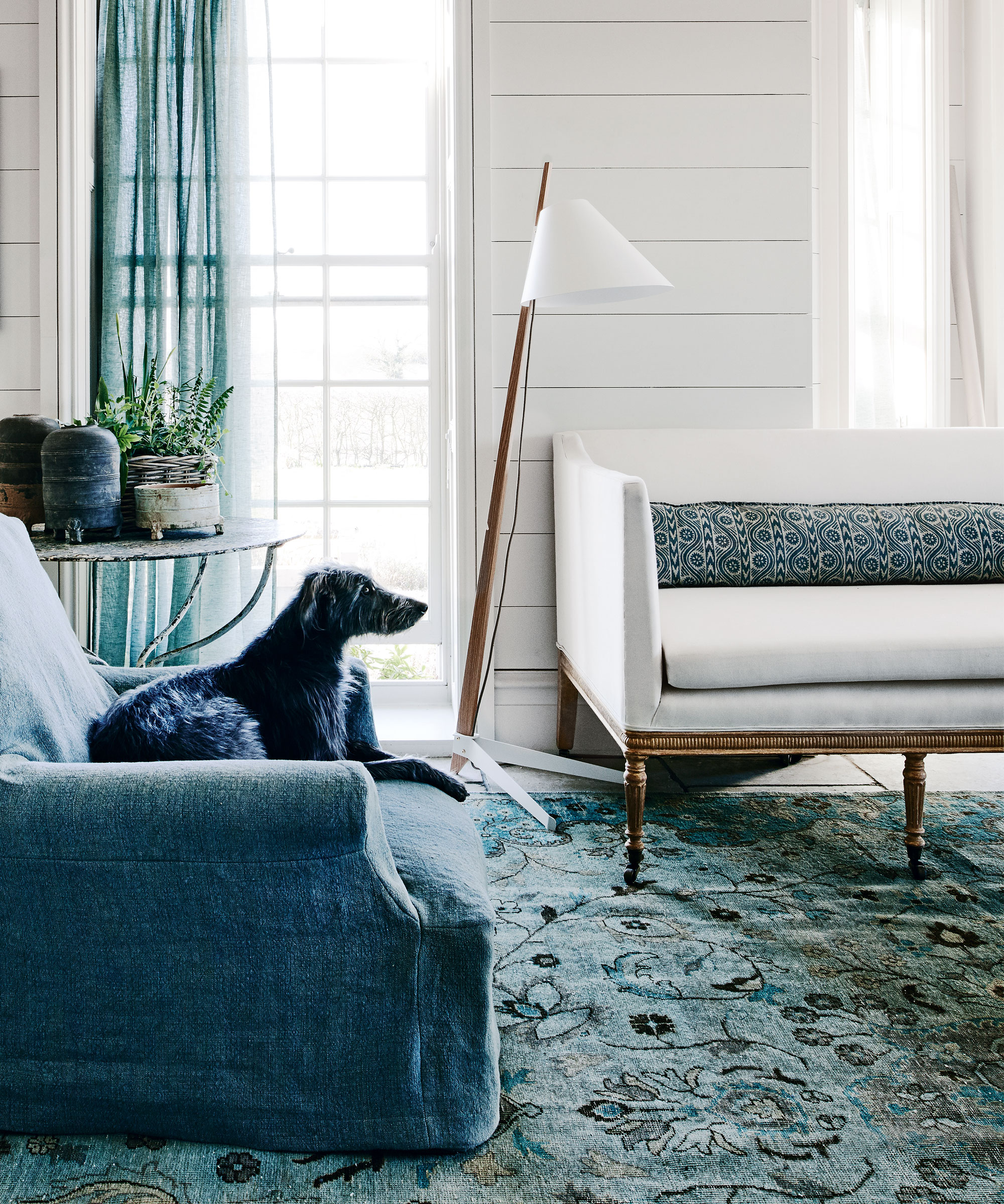 pared con paneles de madera blanca, sillón azul, alfombra floral, sofá regencia